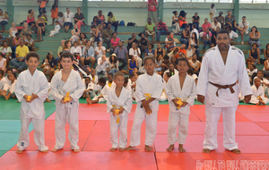 les nouvelles ceintures jaune