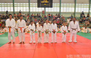 les nouvelles ceintures verte judo