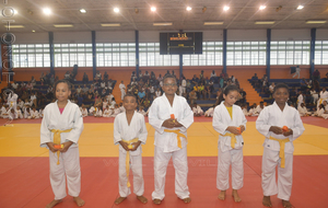 nos ceintures orange et jaune