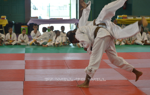 REPRISE DES COURS DE JUDO SAISON 2015/2016