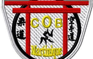 Un(e) Judoka(te), une histoire