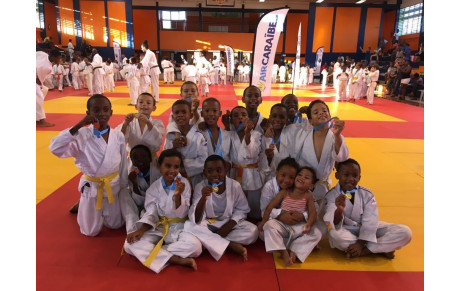 TOURNOI TI SAMOURAY du 25/11/2017