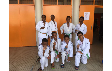 TOURNOI IPPON BENJAMINS du 26/11/2017