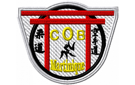 COUPE DE LA MARTINIQUE SENIORS le 26/11/2017